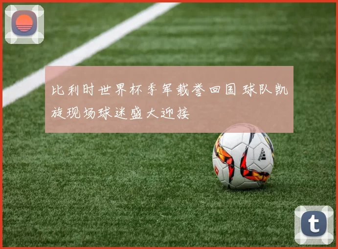 比利时世界杯季军载誉回国 球队凯旋现场球迷盛大迎接