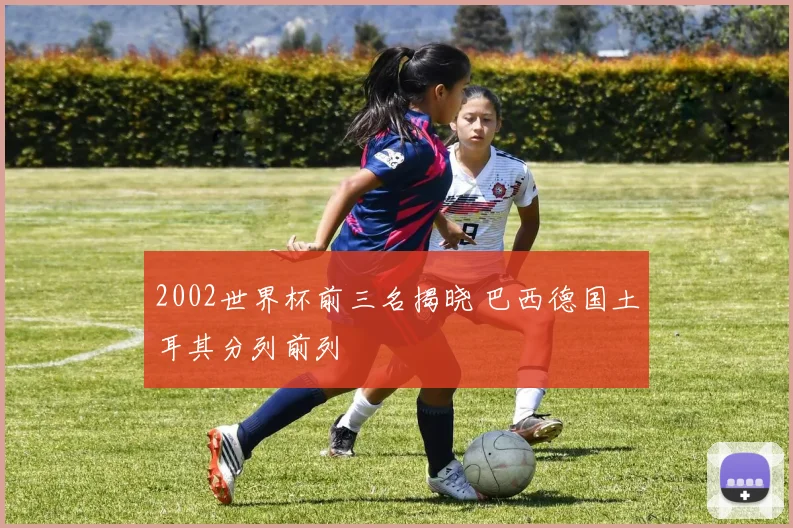 2002世界杯前三名揭晓 巴西德国土耳其分列前列