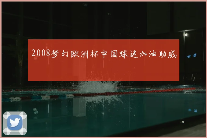 2008梦幻欧洲杯中国球迷加油助威