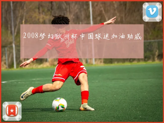 2008梦幻欧洲杯中国球迷加油助威
