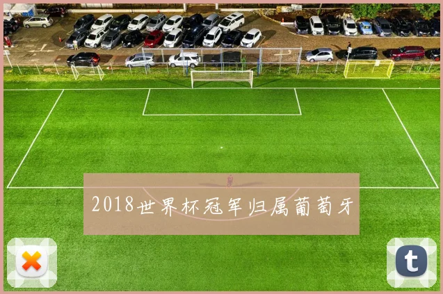 2018世界杯冠军归属葡萄牙