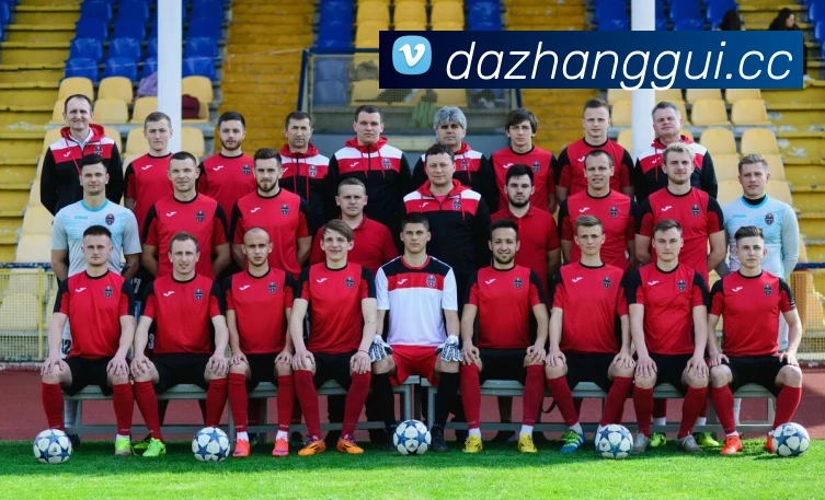 互动解说服务